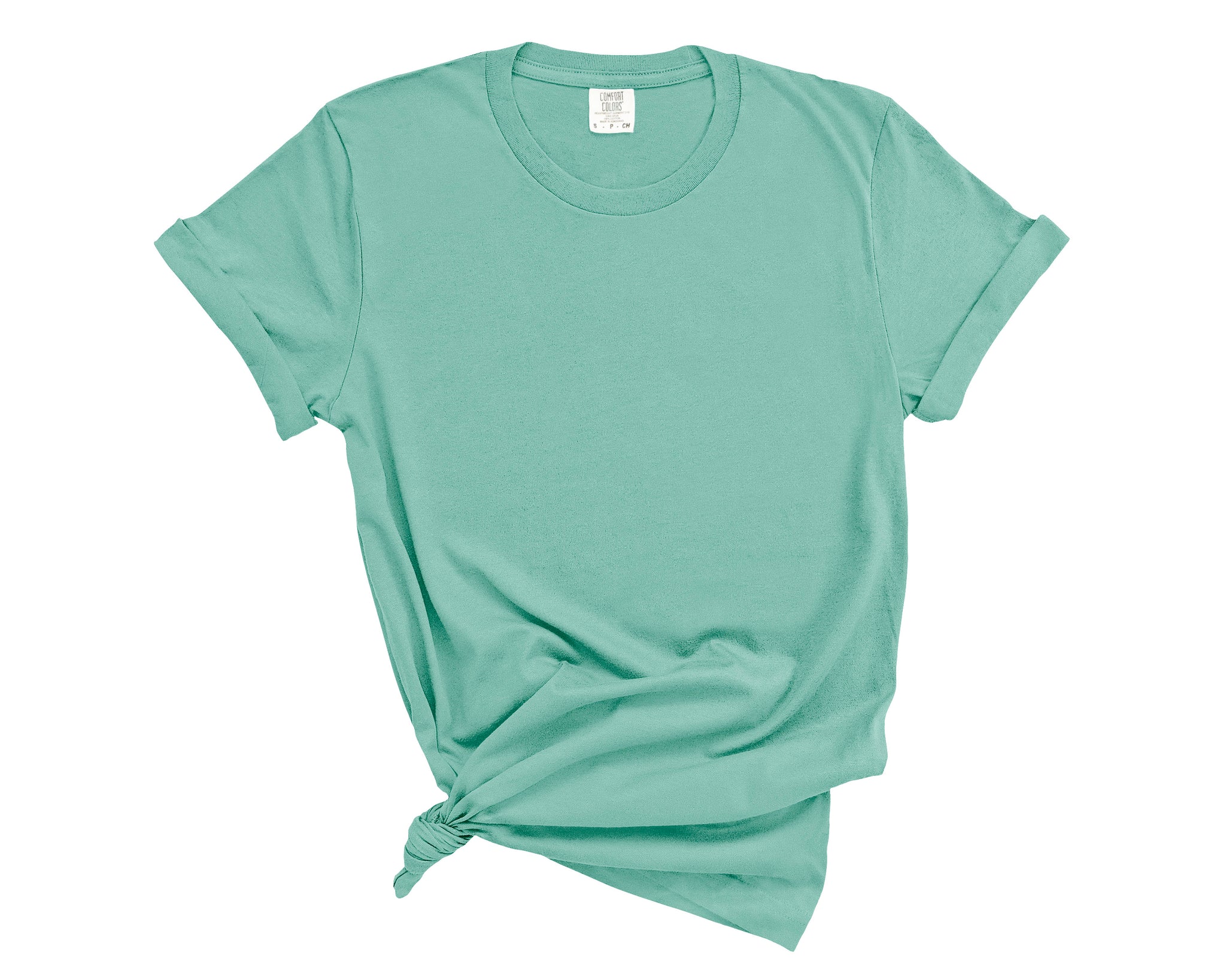 The Largemouth BaShort Sleeve T-Shirt - Comfort Color in Chalky Mint | Size 3X-Large